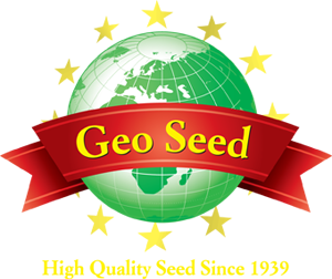 Geo Seed