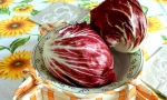 CHICORY Palla Rossa Precoce RE1409 