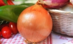 ONION Valensiana Early RE1605 