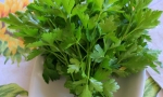 PARSLEY Giant of Italy RE3401 