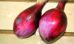 ONION Red of Florence RE1631 