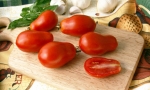 TOMATO Roma VF RE3103 