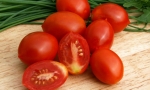 TOMATO Principe Boghese RE3109 