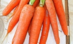 CARROT De Colmar RE1007 