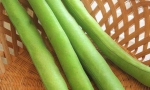 BROAD BEAN Superaguadulce RE2101