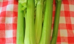 CELERY D'Elne RE3802 