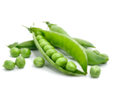 Legumes